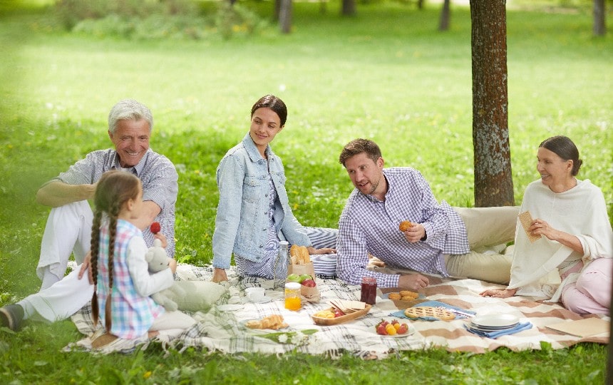 family_picnic-min